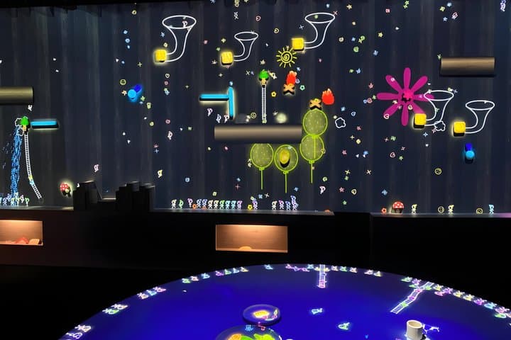 Kyoto TeamLab Biovortex Admission — photo 12