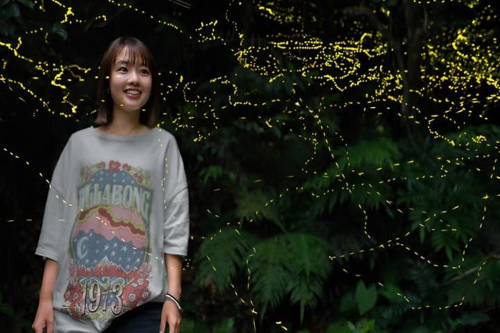 Iriomote Island Yaeyama Firefly Guided Night Tour March to May — photo 15