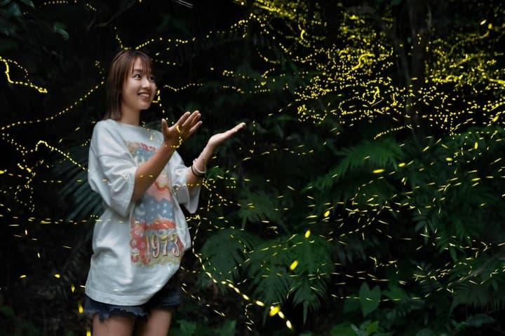 Iriomote Island Yaeyama Firefly Guided Night Tour March to May — photo 9