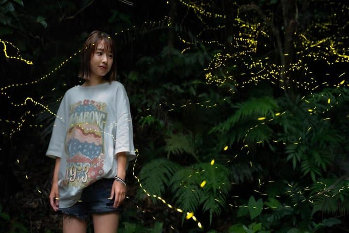 Iriomote Island Yaeyama Firefly Guided Night Tour March to May — photo 13