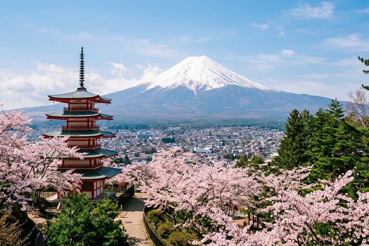Mt. Fuji,Saiko Iyashi-no-Sato Nenba&Kawaguchi Lake — photo 3