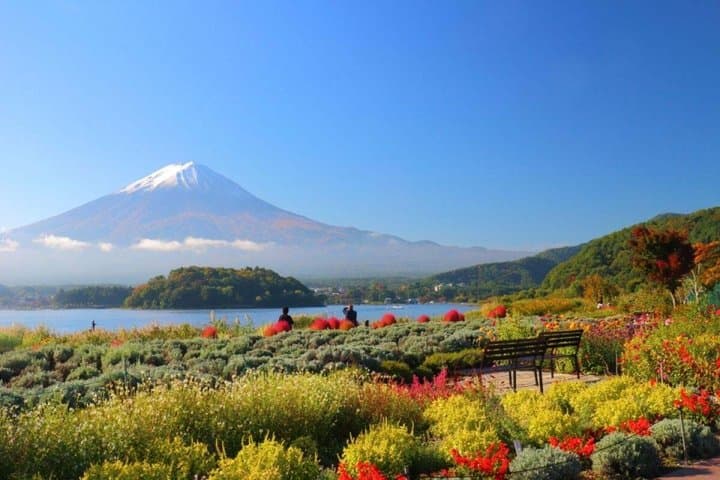 Mt. Fuji,Saiko Iyashi-no-Sato Nenba&Kawaguchi Lake — photo 4