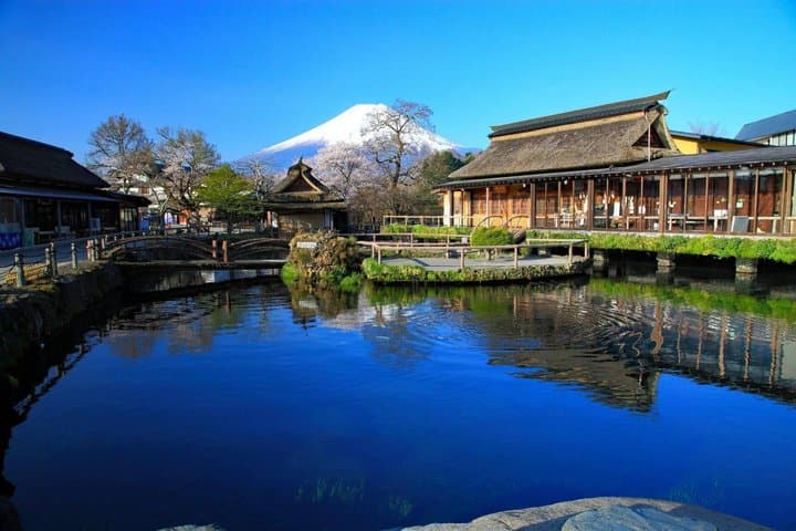 Mt. Fuji,Saiko Iyashi-no-Sato Nenba&Kawaguchi Lake — photo 5