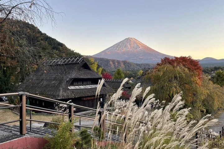 Mt. Fuji,Saiko Iyashi-no-Sato Nenba&Kawaguchi Lake — photo 6