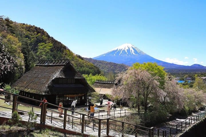 Mt. Fuji,Saiko Iyashi-no-Sato Nenba&Kawaguchi Lake — photo 2