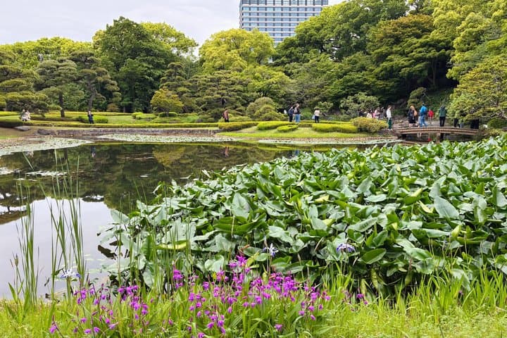 Tokyo Imperial Palace and Shogun Castle Walking Tour — photo 19