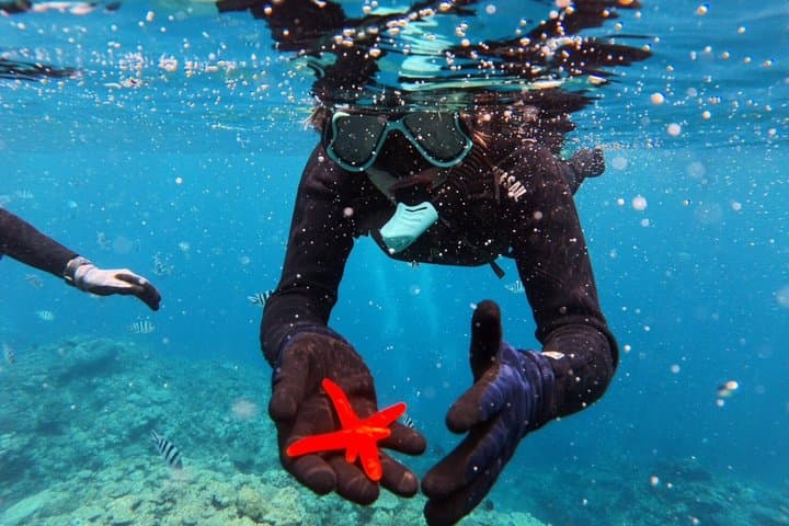 Private Snorkeling Tour at Blue Cave Okinawa — photo 12