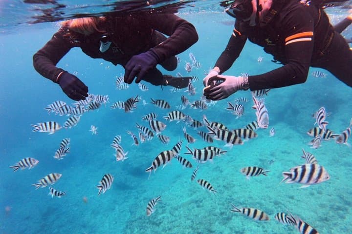 Private Snorkeling Tour at Blue Cave Okinawa — photo 10