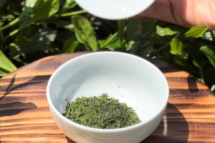 Shincha Experience and Nerikiri Making in Shinjuku — photo 4