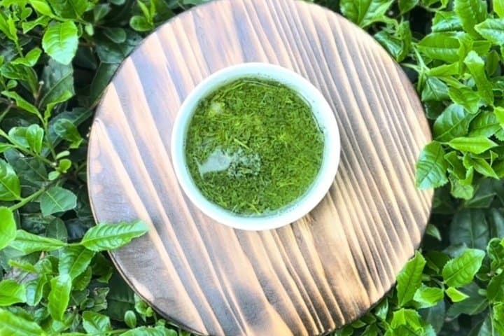 Shincha Experience and Nerikiri Making in Shinjuku — photo 1