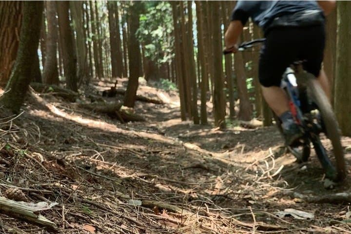 Osaka Japan E MTB Tour: Katsuo-ji temple & Pilgrimage Trails — photo 2