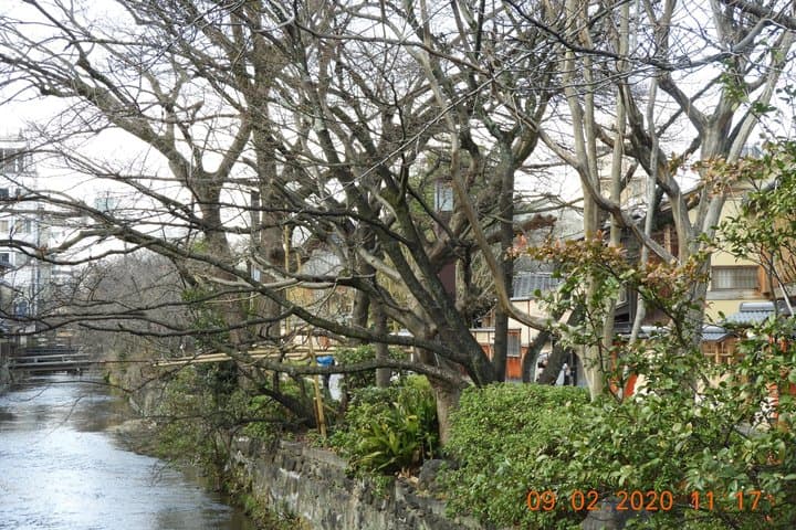 Kimono Dress in Gion Timeless Geisha District Walking Tour Kyoto — photo 13