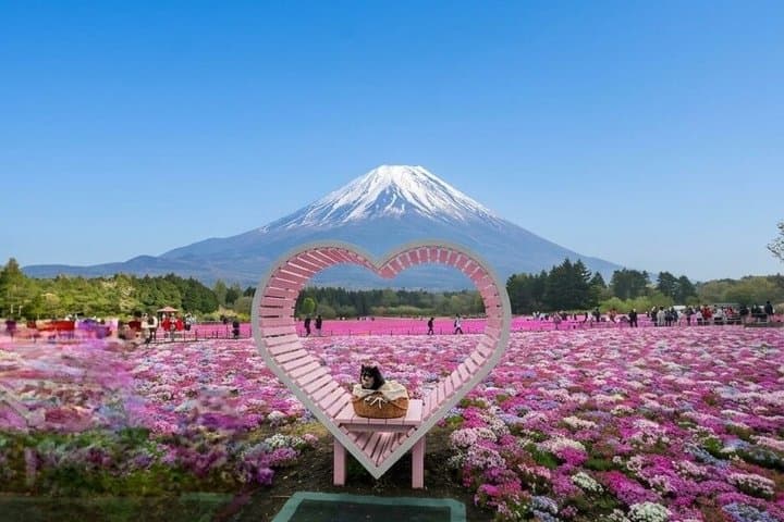 Private Tour of Mount Fuji with English speaking driver — photo 3