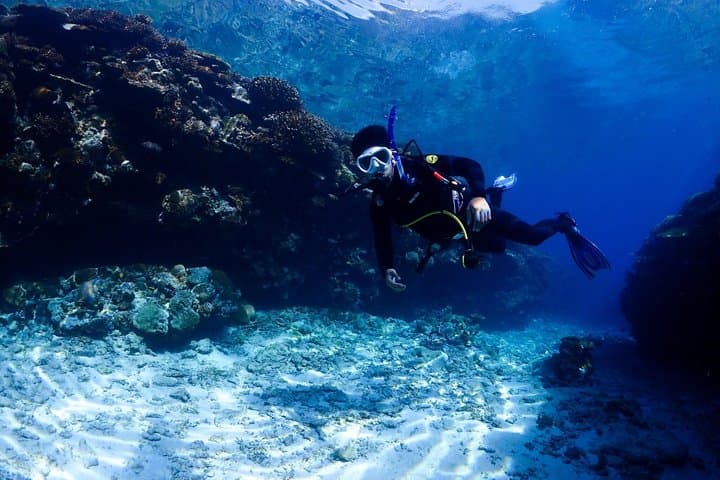 Okinawa Dive & Dine Adventure for Certified Divers (2-Day Tour) — photo 9