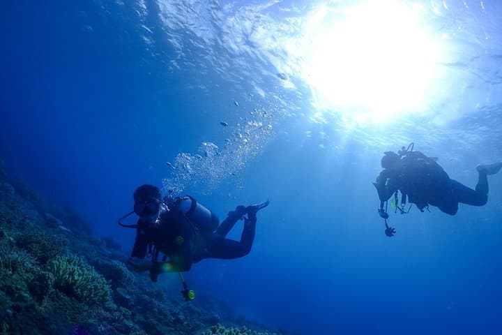 Okinawa Dive & Dine Adventure for Certified Divers (2-Day Tour) — photo 7