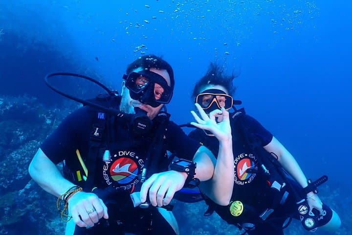 Okinawa Dive & Dine Adventure for Certified Divers (2-Day Tour) — photo 5