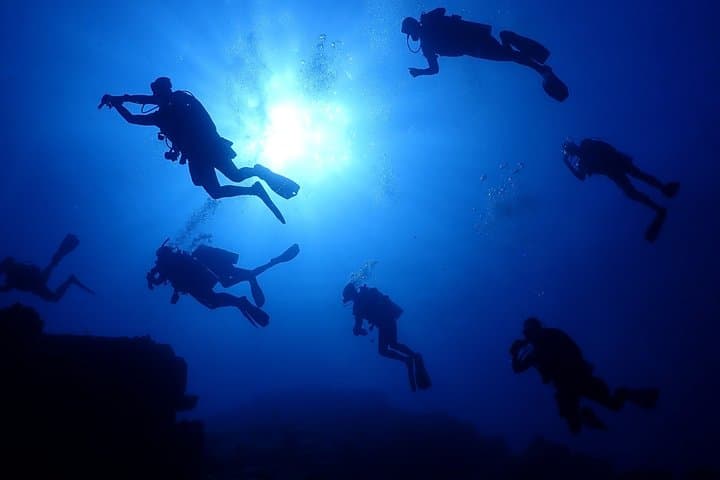 Okinawa Dive & Dine Adventure for Certified Divers (2-Day Tour) — photo 3