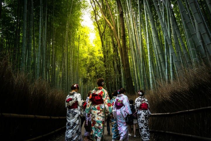Arashiyama Bamboo Forest and Zen Garden Tour — photo 1