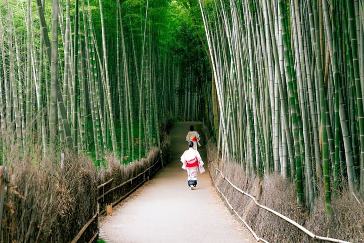 Arashiyama Bamboo Forest and Zen Garden Tour — photo 4