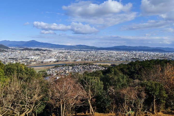 Arashiyama Bamboo Forest and Zen Garden Tour — photo 12