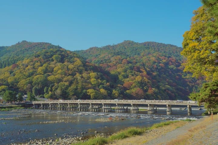 Arashiyama Bamboo Forest and Zen Garden Tour — photo 14