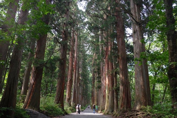 Full Day Snow Monkey Park and Togakushi Shrine Tour in Nagano — photo 5