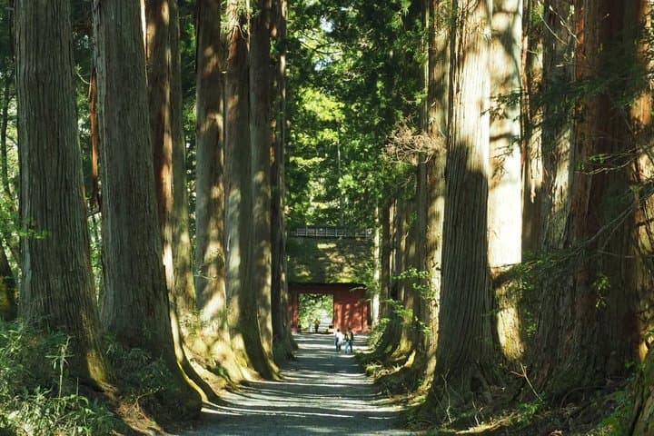 Full Day Snow Monkey Park and Togakushi Shrine Tour in Nagano — photo 4