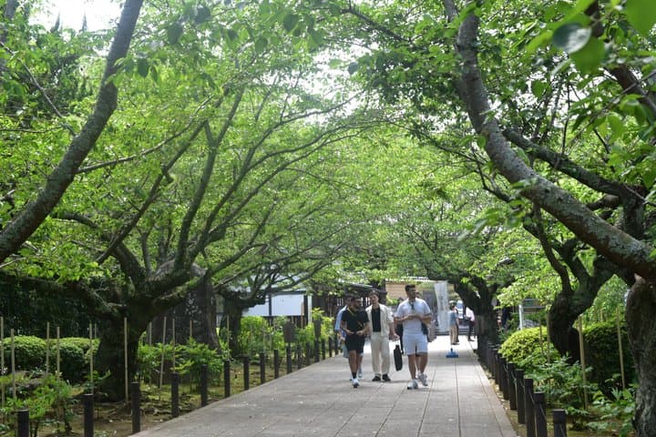 Kamakura Summer Highlights with private vehicle: Seaside Escape — photo 11