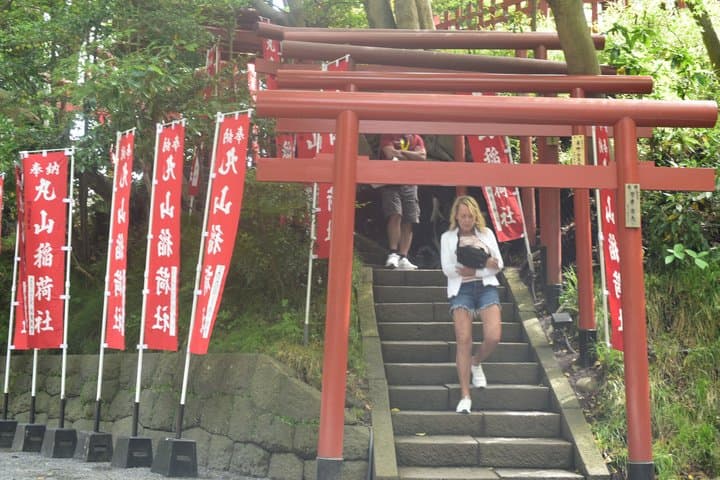 Kamakura Summer Highlights with private vehicle: Seaside Escape — photo 9