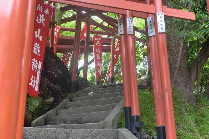 Kamakura Summer Highlights with private vehicle: Seaside Escape — photo 16