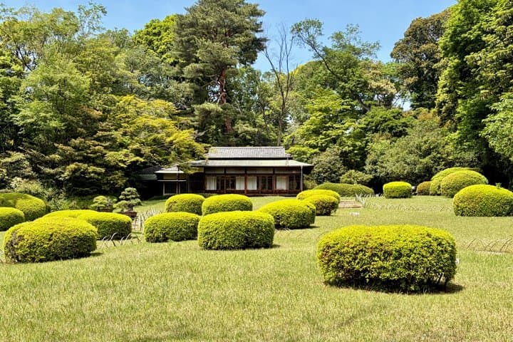 Tokyo Private 6-Hour Car Tour with English-Speaking Guide — photo 11