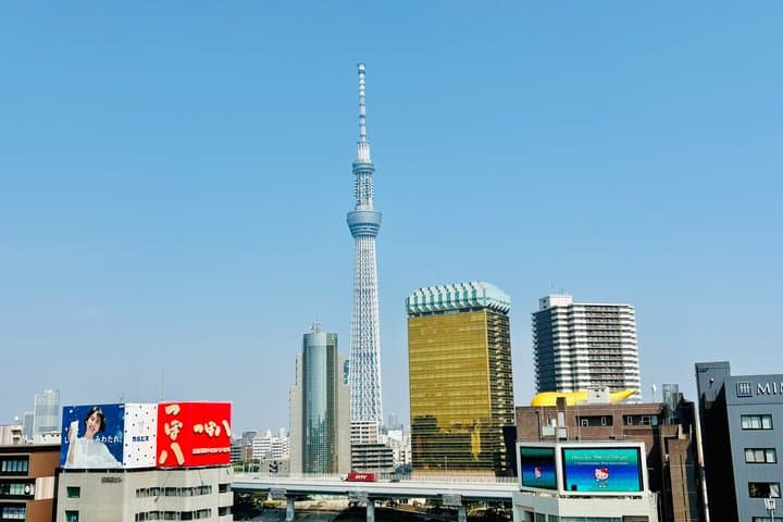 Tokyo Private 6-Hour Car Tour with English-Speaking Guide — photo 10