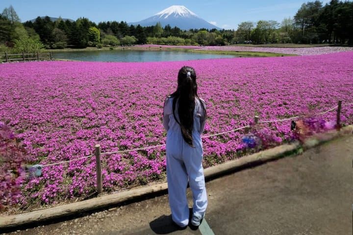 Private Tour of Mount Fuji with English speaking driver — photo 5