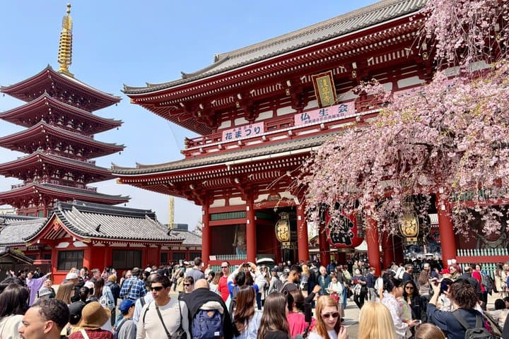 Tokyo Private 6-Hour Car Tour with English-Speaking Guide — photo 3