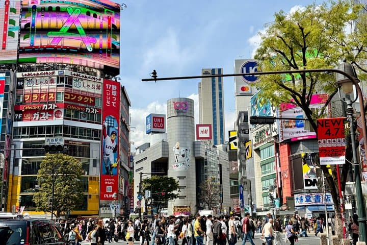 Tokyo Private 6-Hour Car Tour with English-Speaking Guide — photo 15