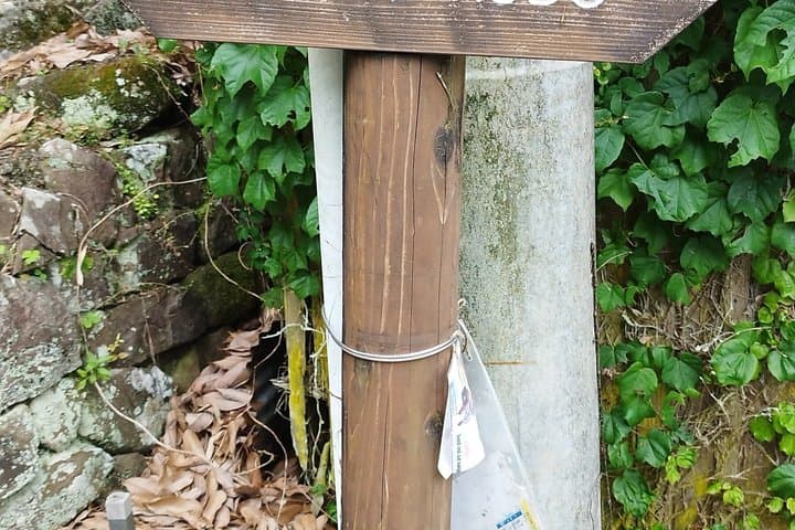 Locally Guided Kumano Kodo Kohechi Tour — photo 3