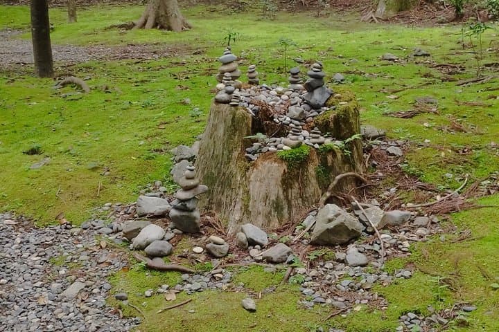 Locally Guided Kumano Kodo Kohechi Tour — photo 11