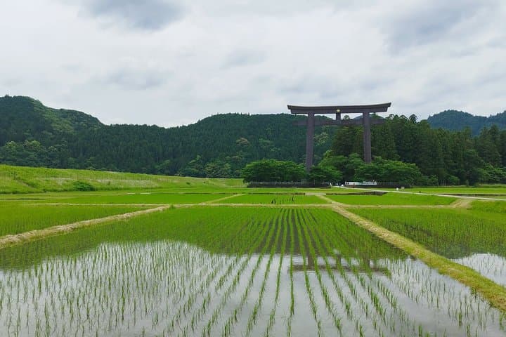 Locally Guided Kumano Kodo Kohechi Tour — photo 13