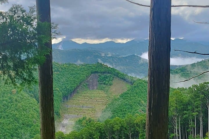 Locally Guided Kumano Kodo Kohechi Tour — photo 15