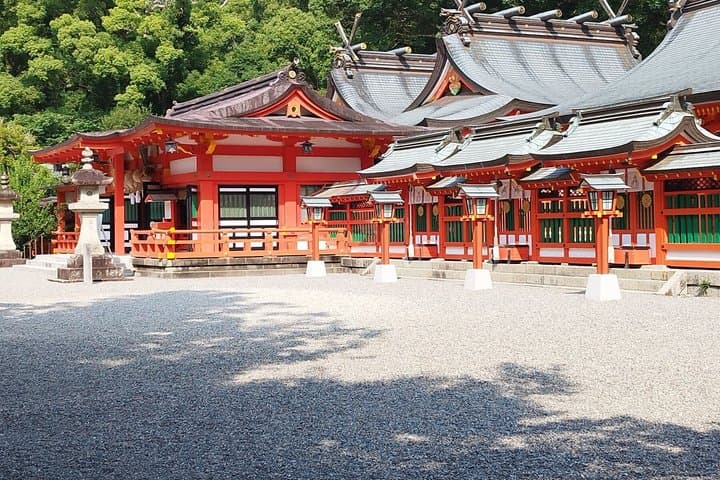 Locally Guided Kumano Kodo Kohechi Tour — photo 18