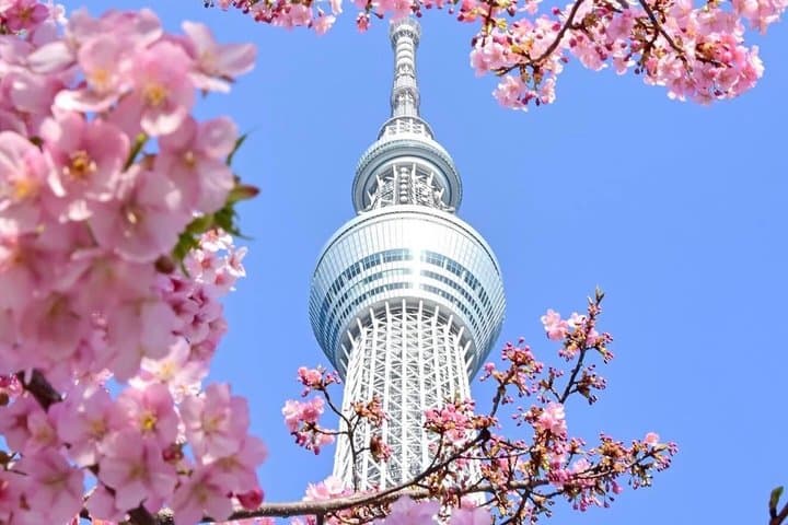 Private Customizable Full Day Tokyo tour — photo 7
