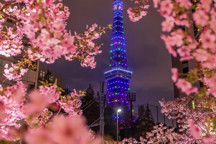 Private Customizable Full Day Tokyo tour — photo 8