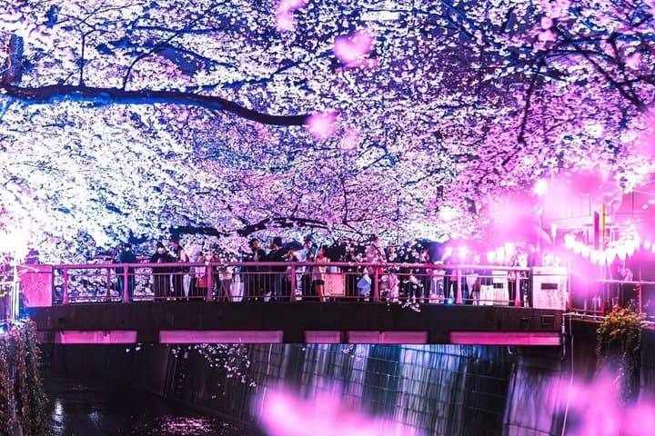 Private Customizable Full Day Tokyo tour — photo 9