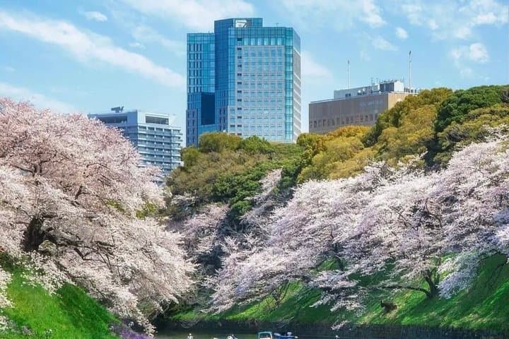 Private Customizable Full Day Tokyo tour — photo 10