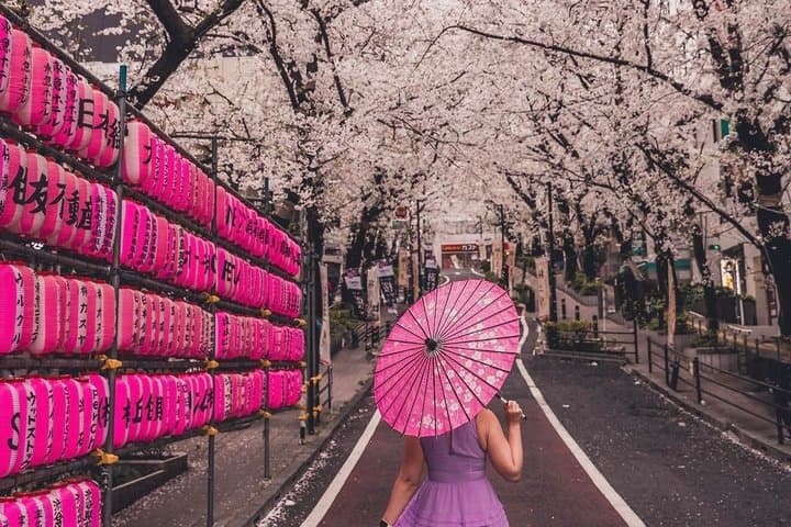 Private Customizable Full Day Tokyo tour — photo 14