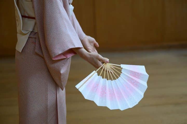 Tokyo Shibuya Geisha Meet and Dance Private Historic Stage Class — photo 13