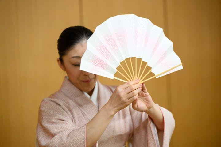 Tokyo Shibuya Geisha Meet and Dance Private Historic Stage Class — photo 15
