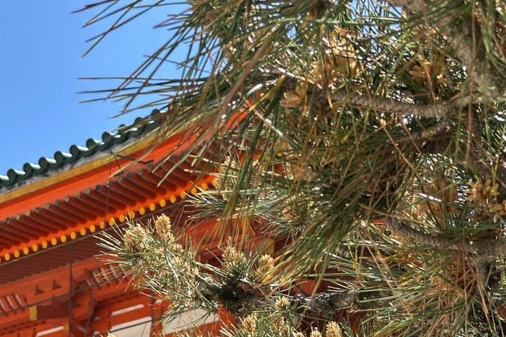 Discover Kyoto by Bike Full Day Tour — photo 3