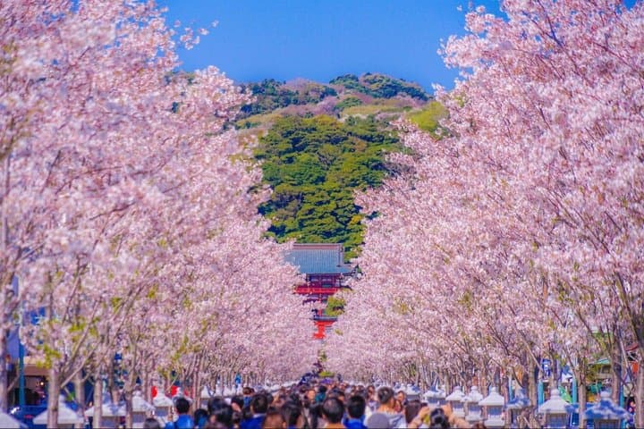 Tokyo Private Day Trip To Kamakura — photo 13