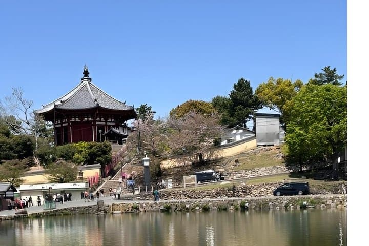 Nara Afternoon Sake Brewery Tour (Tastings Included) — photo 11